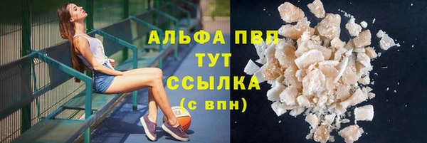 PSILOCYBIN Аркадак