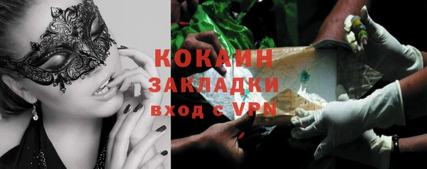 PSILOCYBIN Аркадак